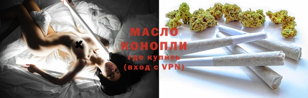 СК Алексин