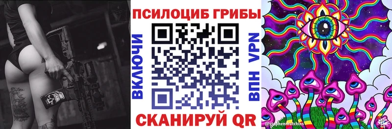 omg как войти Хилок Галлюциногенные грибы GOLDEN TEACHER цены